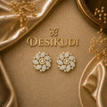 Stardust Ear rings